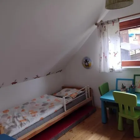 Dvirka Zelezny Brod