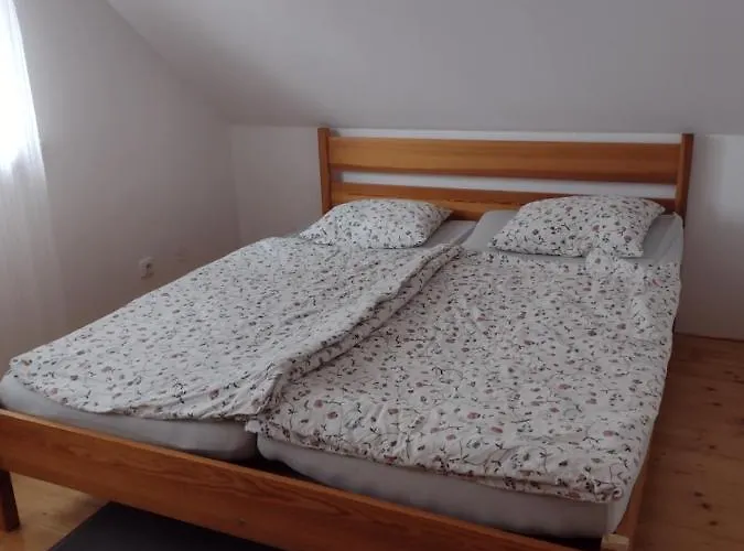 別荘 Dvirka Železný Brod